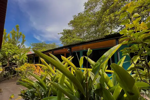 El Icaco en Tortuguero