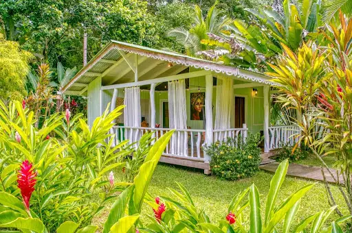 La Rana De Cahuita en Cahuita