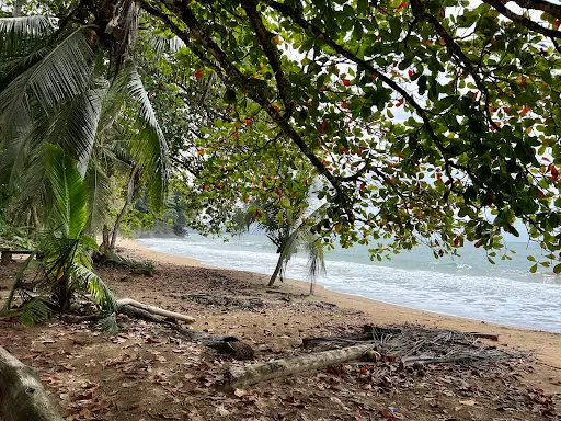 Hotel Arrecife Punta Uva en Puerto Viejo de Talamanca