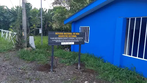 Cabinas Arribadas en Ostional